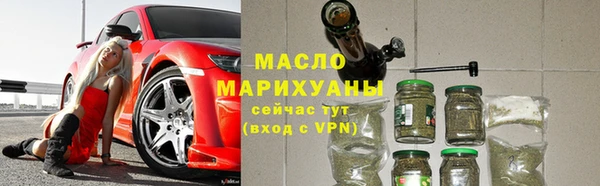 гидра Богданович