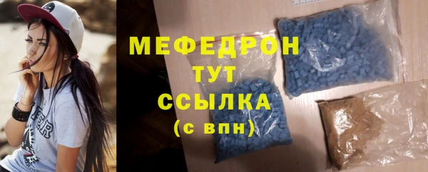 гидра Богданович