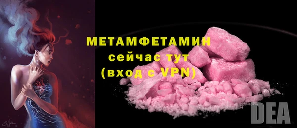прущие грибы Белокуриха