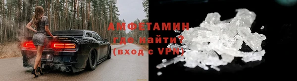прущие грибы Белокуриха