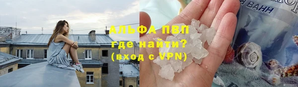 СК Богородск