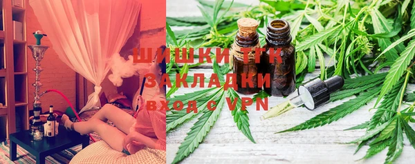 шишки Заволжск
