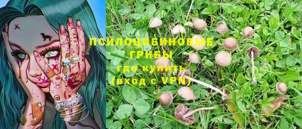 ПСИЛОЦИБИНОВЫЕ ГРИБЫ Заводоуковск