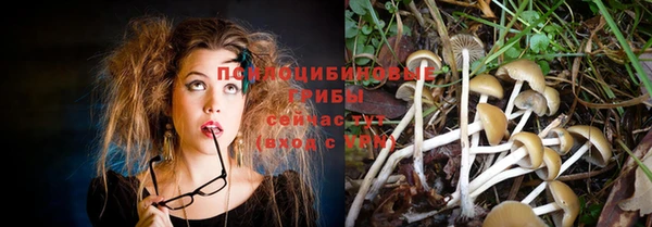 apvp Белоозёрский