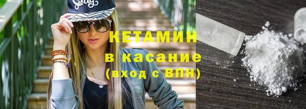 прущие грибы Белокуриха