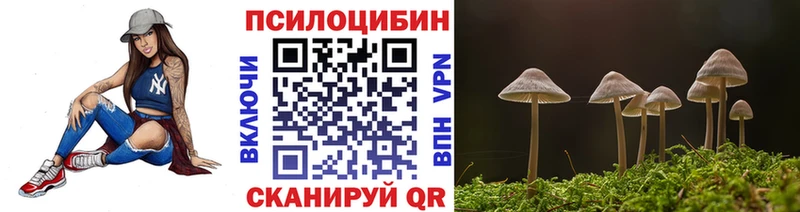 kraken tor Большой Камень Псилоцибиновые грибы мухоморы